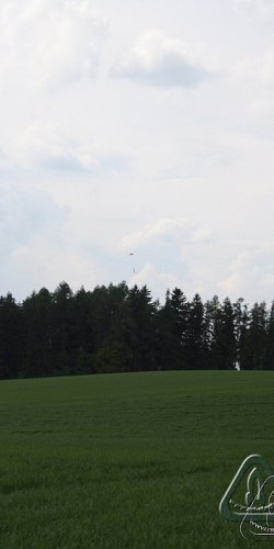 2012 Svojek mirek sobota